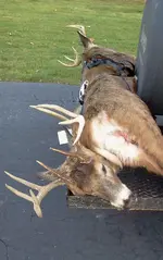 2012-11-28 15.56.50.webp