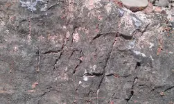 IMAG0158.webp