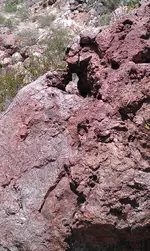 IMAG0188.webp
