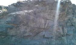 IMAG0223.webp