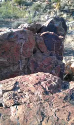 IMAG0085.webp
