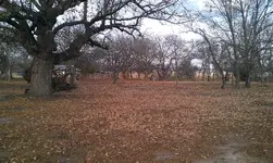ForumRunner_20121223_074109.webp