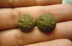 2buttons.webp