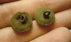 2ButtonBacks.webp