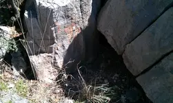 IMAG0395.webp