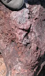 IMAG0191.webp