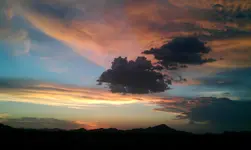 IMAG0177.webp