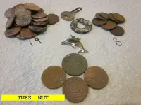 1211NUT.webp