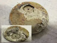 1212COIN.webp