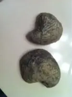 image-1034034217.webp