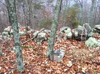 photo copy 3.webp