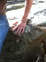image-1786230169.webp