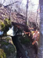 image-289638747.webp