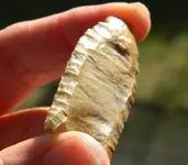 Fluted Points 001.webp Fluted Points 001.webp