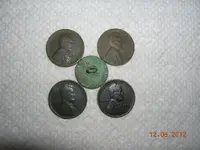 DSCN5832.webp