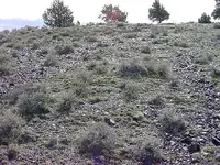 Glass Butte obsidian.webp