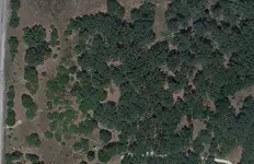 closeup.webp