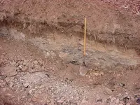 Glass Butte obsidian2.webp
