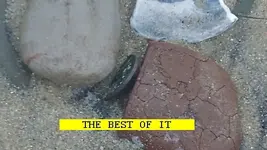 1119BEST.webp