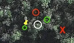 JR-B-okiedowsercrop.webp