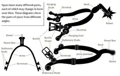 Spur-diagram-mainpage[1].webp