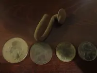 Metal Detecting 515.webp
