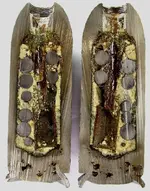 shell_halfsection_Read-Parrott_2.9inch_Case-Shot_casting-bubbles-and-OFFCENTERED-can-burster_...webp