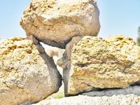 992011 154 - Copy-dogtthr.webp