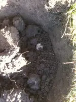 image-147117563.webp