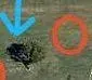 ba field-TheMcscrop2.webp