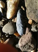 image-2150321446.webp