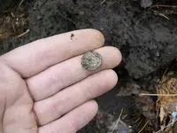 DEC 22rd 1853 HALF DIME 007.webp