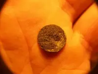 DEC 22rd 1853 HALF DIME 001.webp