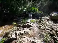 100_0928.webp
