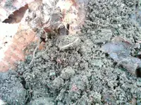 image-1621910503.webp