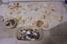 100_2565.webp