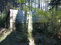 cabin 4A.webp