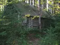 cabin 13.webp