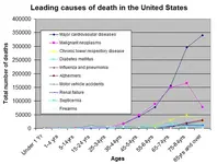 450px-Causes_of_death_by_age_group.webp 450px-Causes_of_death_by_age_group.webp