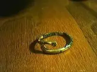 ring 143.webp