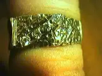ring 144 of 2012.webp