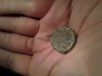20121120_022004.webp 20121120_022004.webp