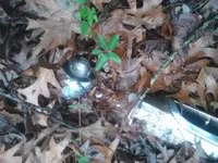 ForumRunner_20121223_163736.webp