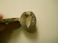 mold4.webp