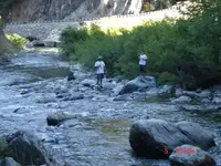 DSC04248.webp
