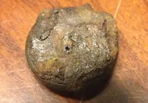 button (5).webp