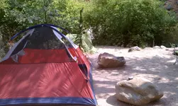 4806.webp