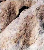 Capture cross.webp