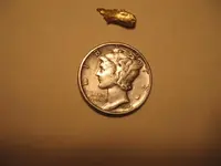 goldnsilver (Small).webp