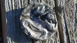 100_0170.webp